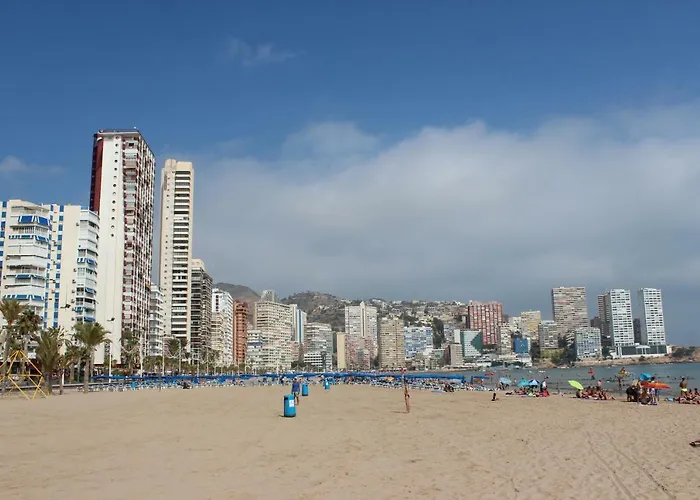 Provima Anis * Benidorm