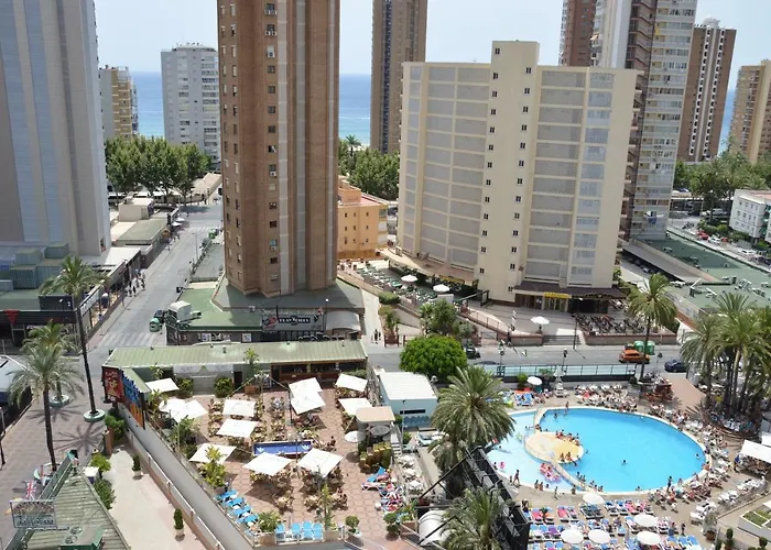 Provima Anis * Benidorm