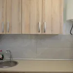 Provima Anis *