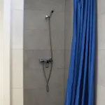 Provima Anis *