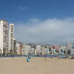Provima Anis * Benidorm