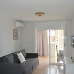 Provima Anis