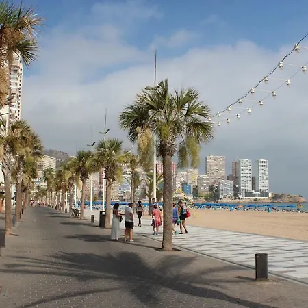 Provima Anis Benidorm