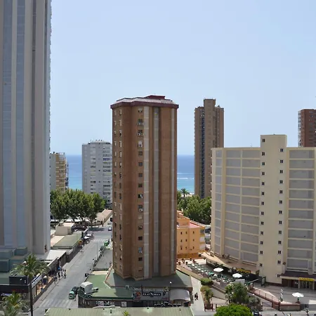 Provima Anis * Benidorm