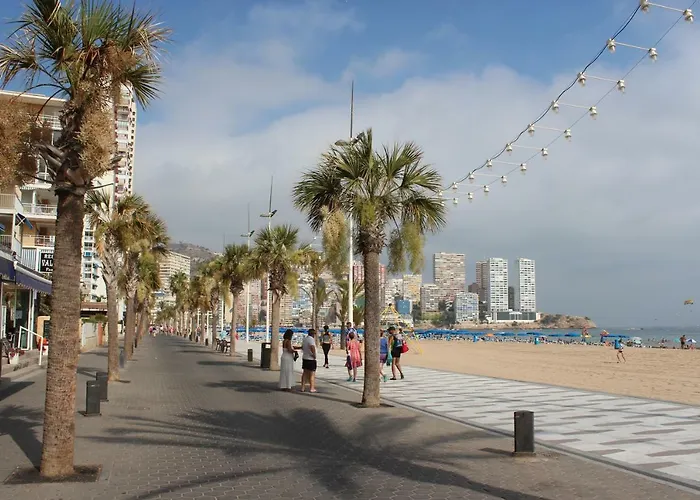 Provima Anis Benidorm