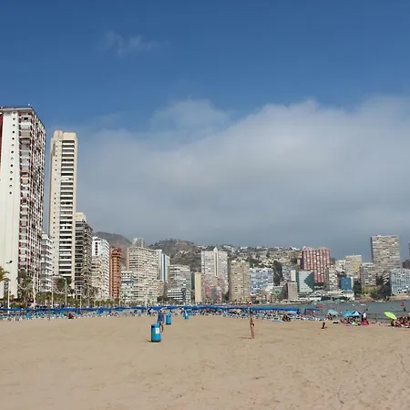 Provima Anis * Benidorm